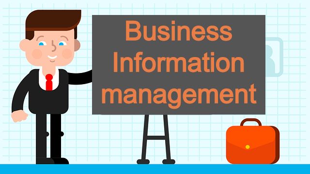 Business Information management