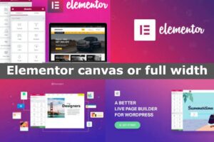 elementor review