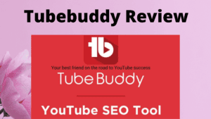 Tubebuddy Review