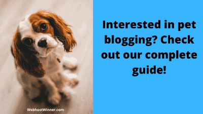 How to Start a Pet Blog