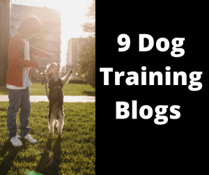 Dog training blogs
