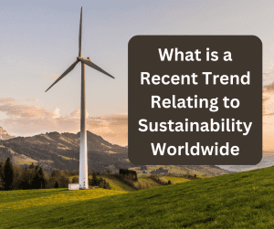 What is a recent trend relating to sustainability worldwide