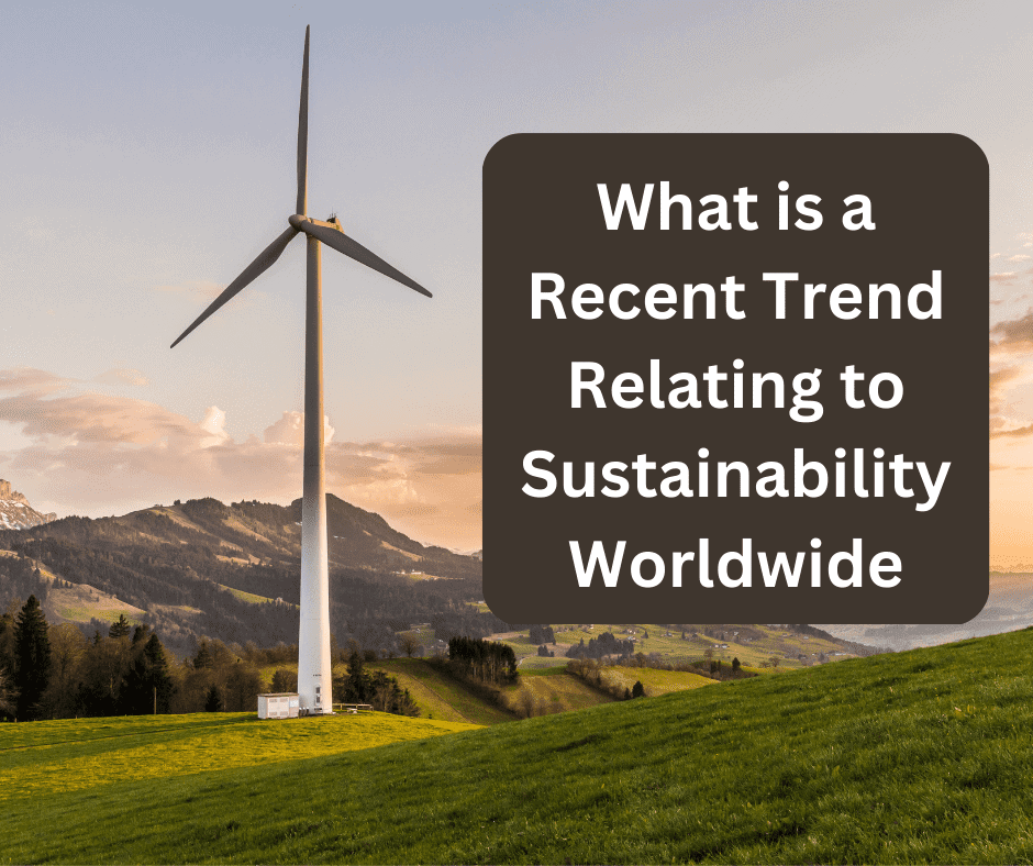 What is a recent trend relating to sustainability worldwide